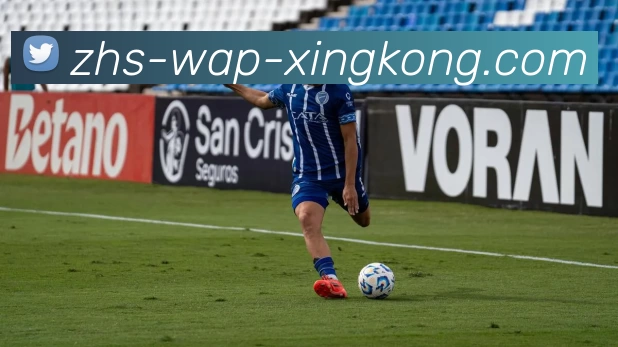 星空体育平台生态图