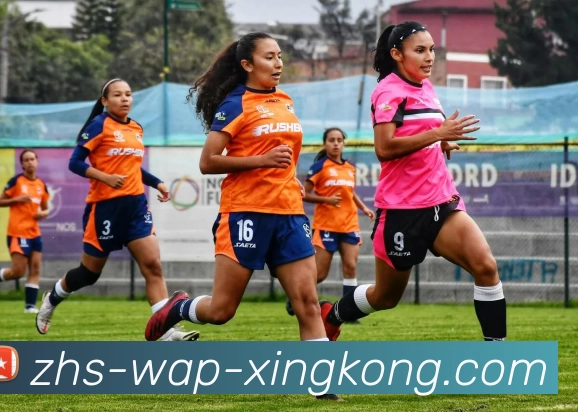 星空体育全站App